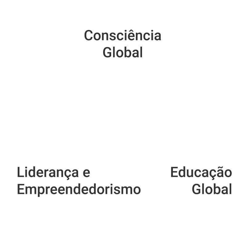 diagrama cidadao global